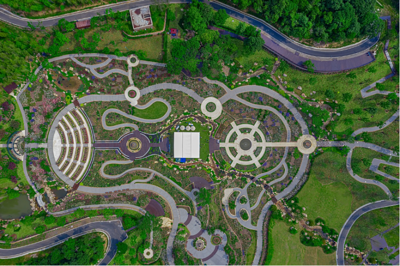 奥斯汀月季园（3-11月）