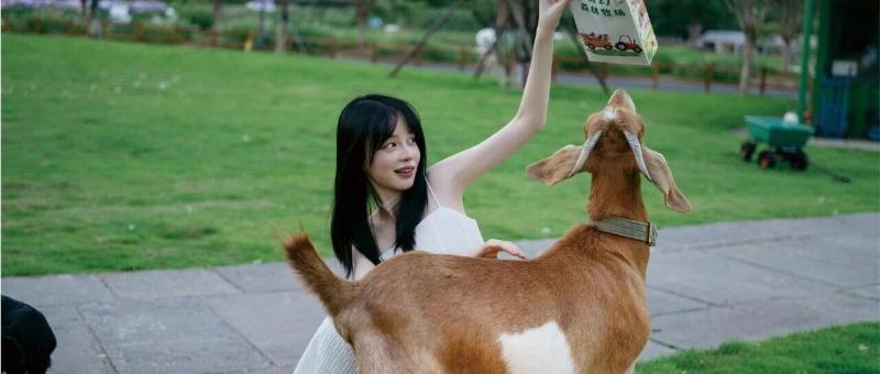 三八妇女节专属福利｜下渚湖景区献礼，邀你共赴春日之约